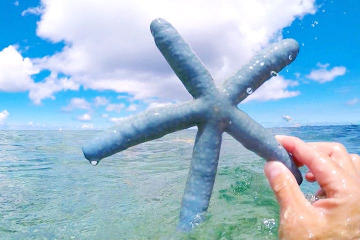 沖縄 宮古島 シュノーケル 海ガメの泳ぐ絶景スポット三角点下で宮古島を満喫 ドローン撮影付き アソビュー