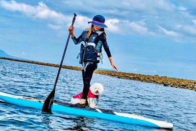 シマノ ロックショア ウエットスタイル SUP カヤック 熊本・天草・SUP・カヤック】天草の海で愛犬と一緒に海上散歩