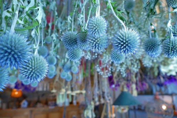 名古屋・千種区・ハーバリウム作り】花をとじこめて作る小さな美空間