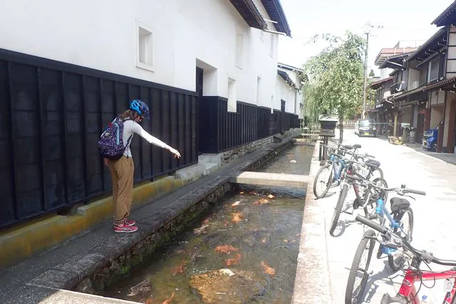 岐阜・飛騨古川・サイクリング】飛騨の日常を体感。スタンダード 
