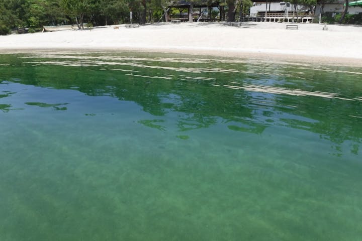 滋賀 琵琶湖 Sup 水質と景色の綺麗な近江舞子北浜を水上散歩 Sup体験 アソビュー
