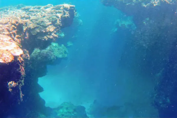鹿児島 奄美 シュノーケル 奄美で一番美しい土盛海岸 青の洞窟感動シュノーケリンング体験 アソビュー