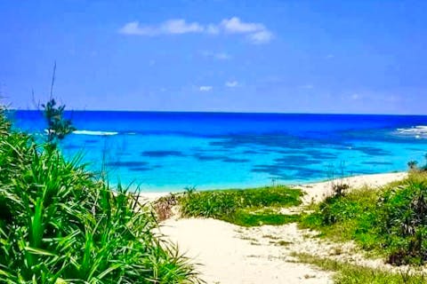 【鹿児島・奄美・シュノーケル】＜クチコミ投稿で体験動画無料プレゼント＞奄美で1番美しい土盛海岸・青の洞窟シュノーケリング &マングローブカヌーツアーアクティブ派におすすめ1日ツアー！鶏飯ランチ付き