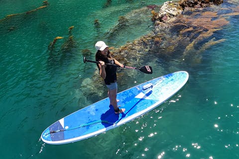 【松島半日】経験者向け！日本三景の絶景と島々を巡るプレミアムSUPクルージング【写真データ/備品レンタル無料