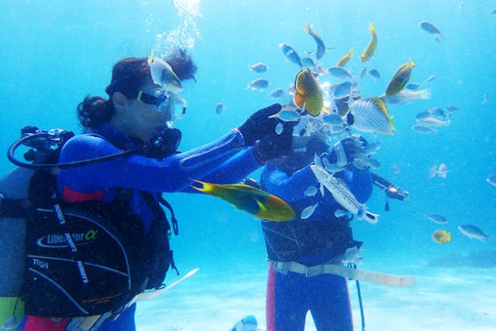 Diver's House（ダイバーズハウス） 竹内潜水堂