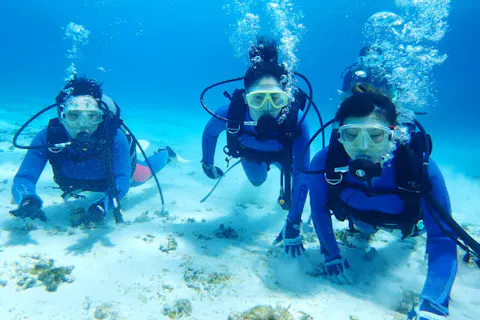 【鹿児島・与論島・ダイビング】透明な海で熱帯魚と泳ごう！体験ダイビング（1ダイブ）