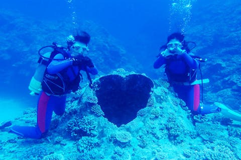 【鹿児島・与論島・ダイビング】魅力的なスポットを満喫！体験ダイビング（2ダイブ）