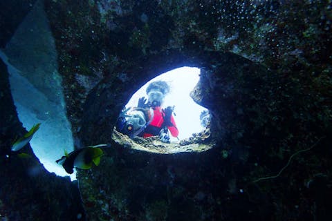 【鹿児島・与論島・ダイビング】見どころ満載の海を満喫！ファンダイブ（2ボート）