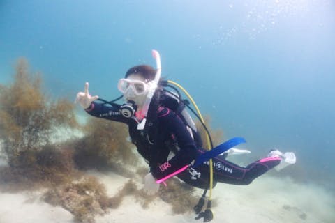 【静岡・下田・体験ダイビング】伊豆半島屈指の美しさを誇る九十浜ビーチで体験ダイビング