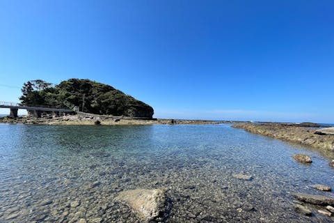 【伊豆下田・シュノーケリング】お魚天国恵比須島でシュノーケリングツアー