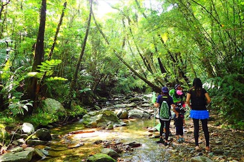 【沖縄・名護・トレッキング＆体験ダイビング】沖縄の自然と美しい海を一度に満喫！
