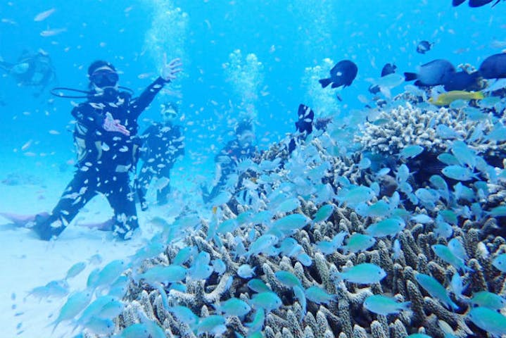 カイトマリンスポーツ