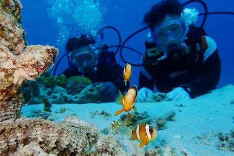 【冬の沖縄・座間味・体験ダイビング】世界に誇る透明度の座間味の海でダイビング！冬季限定1日1組（2名様より）ゆっくりのんびり水中散歩！！