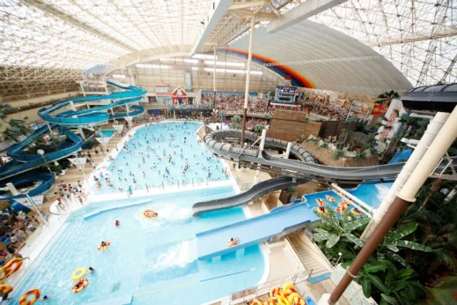 福島 いわき 日帰りバスツアー 大宮発スパリゾートハワイアンズ日帰りバスツアー アソビュー