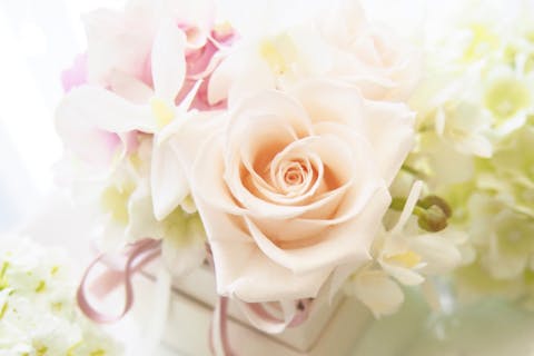 【東京・青山・プリザーブドフラワー体験】プリザーブドフラワー＆アーティフィシャルフラワー