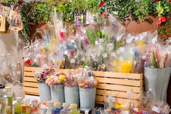 ずこうしつ Sugamo ネット予約ならアソビュー