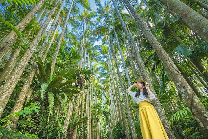 9 割引 東南植物楽園 割引チケット クーポンならアソビュー
