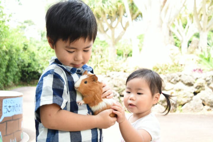 沖縄市 植物園 ランチ 入園プラン アソビュー