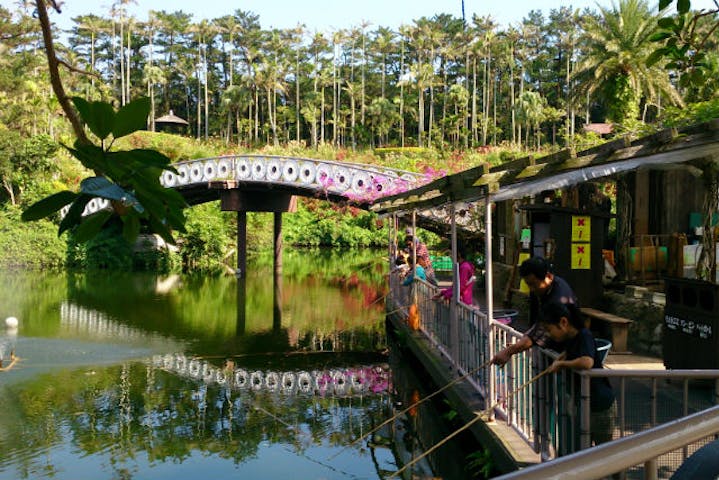 沖縄市 植物園 ランチ 入園プラン アソビュー