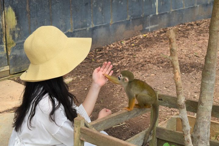 沖縄市 植物園 ランチ 入園プラン アソビュー