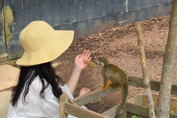 沖縄市 植物園 ランチ 入園プラン アソビュー 沖縄市 植物園 ランチ 入園プラン アソビュー