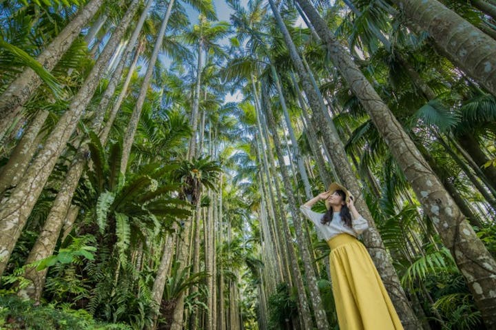 沖縄市 植物園 ランチ 入園プラン アソビュー