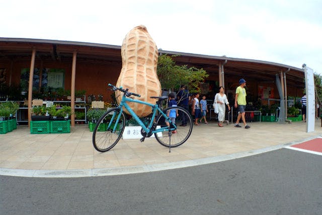 千葉 木更津 レンタサイクル 道の駅発着 ビアンキで楽しむサイクリング日和 アソビュー 千葉 木更津 レンタサイクル 道の駅発着 ビアンキで楽しむサイクリング日和 アソビュー