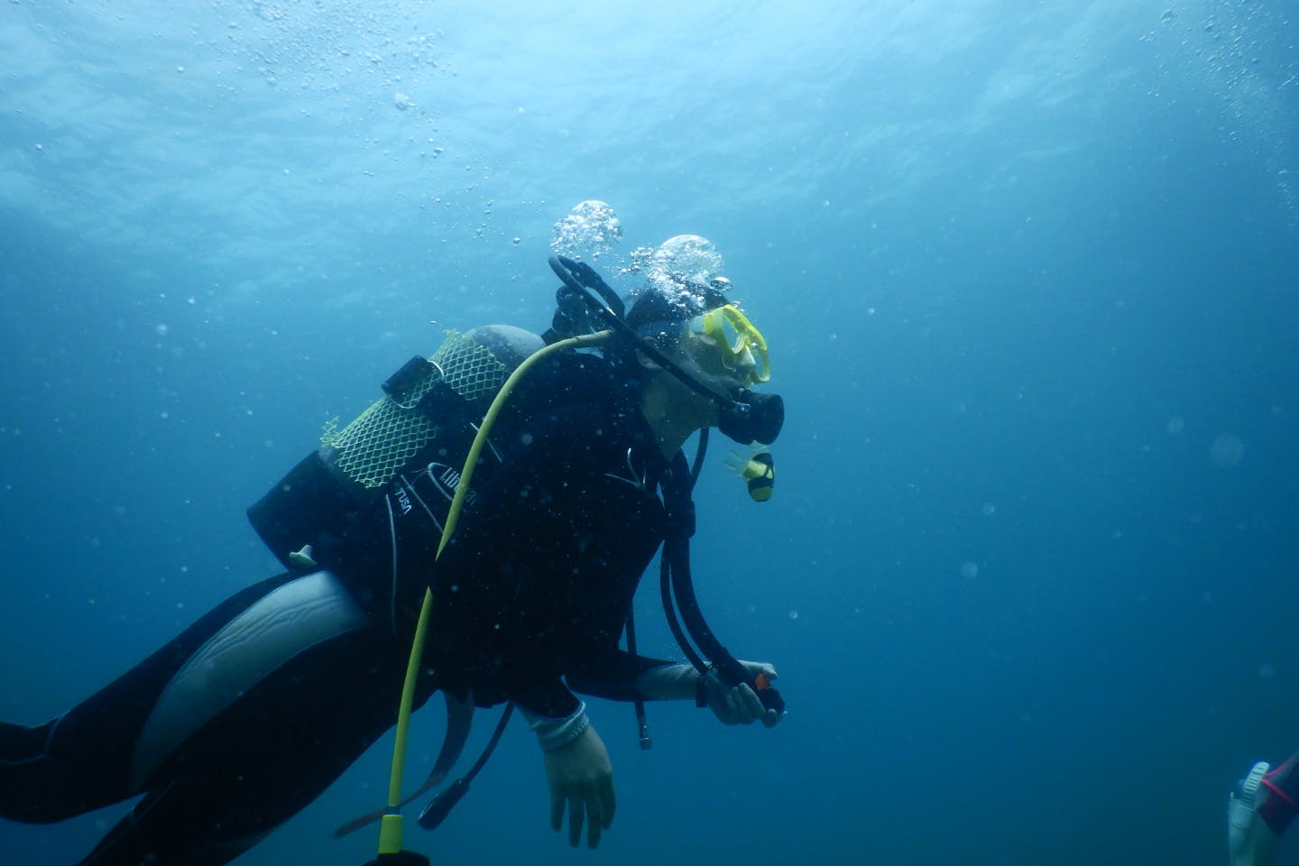 【島根・多古鼻・体験ダイビング】透明度の高い海で美しい水中世界を満喫！体験ダイビング
