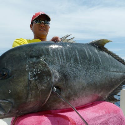 沖縄 海釣り 憧れの大物に挑戦 体験gtフィッシング半日 アソビュー 沖縄 海釣り 憧れの大物に挑戦 体験gtフィッシング半日 アソビュー