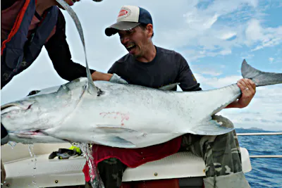 期間限定ポイント10 還元 沖縄 海釣り 憧れの大物に挑戦 体験gtフィッシング半日 アソビュー