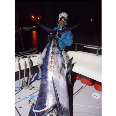 沖縄 海釣り 巨大カジキに挑む ブルーマーリントローリング アソビュー 沖縄 海釣り 巨大カジキに挑む ブルーマーリントローリング アソビュー