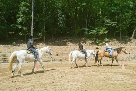 【兵庫・乗馬体験・ホーストレッキング】ミニ外乗付き！初めての乗馬体験（30分）