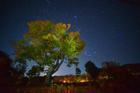 長野県 天体観測の遊び体験 アソビュー 休日の便利でお得な遊び予約サイト
