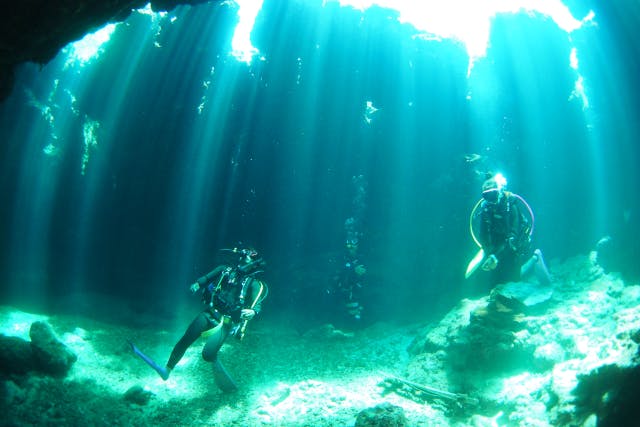 ダイビングステーションKANCHIの最新写真