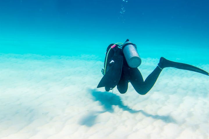 大分ダイビングサービス Sedna セドナ ネット予約ならアソビュー