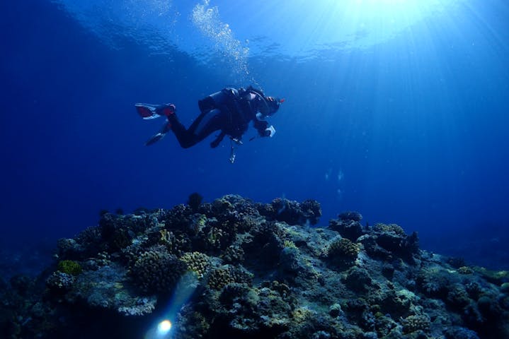 Little Cape Diving Service（リトルケープダイビングサービス）