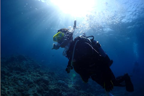 【沖縄・中頭郡・ファンダイビング】世界屈指の慶良間の海で3ダイブ！ケラマファンダイビング