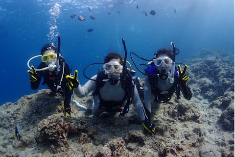 【沖縄・中頭郡・体験ダイビング】ケラマブルーで3ダイブOK！初心者OK体験ダイビング