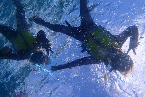 【沖縄・青の洞窟・シュノーケリング】熱帯魚と触れあう餌づけ体験付き！青の洞窟コース