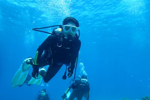 【沖縄・恩納村・体験ダイビング】美しい海でダイビングデビュー！初心者歓迎コース