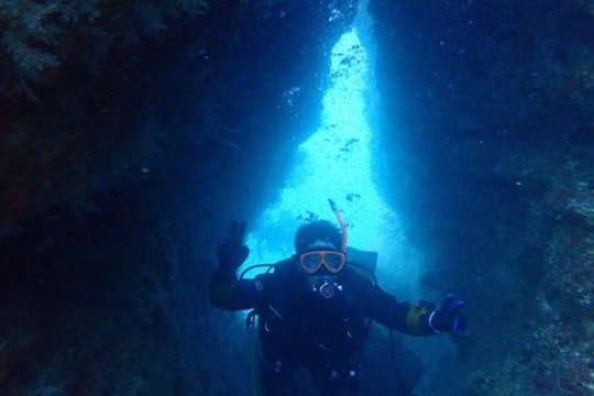 scuba diving mahalo（スキューバダイビングマハロ）