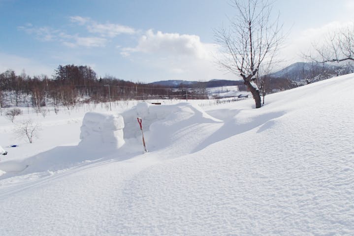 北海道 余市 かまくら作り 力をあわせて雪の家をつくろう イグルーづくり体験 アソビュー