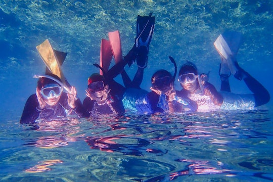 新居浜 東予 すべてのあそび いつでも 1人の検索結果 全3件 アソビュー