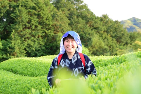 茶摘み 日本最大の体験 遊び予約サイト アソビュー