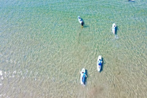 ＜1名当たりが断然お得！3名様グループスペシャル限定特典＞【大阪・和歌山県磯ノ浦Beach・サーフィン体験】波に乗る楽しさを実感！初めてのサーフィン半日体験