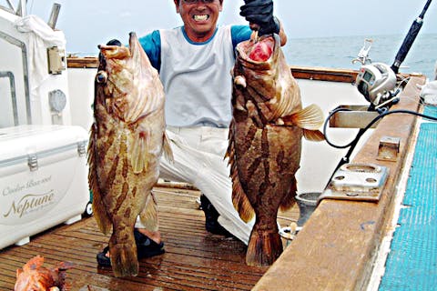 関西にある釣りスポット一覧 釣具レンタルやツアー予約は アソビュー