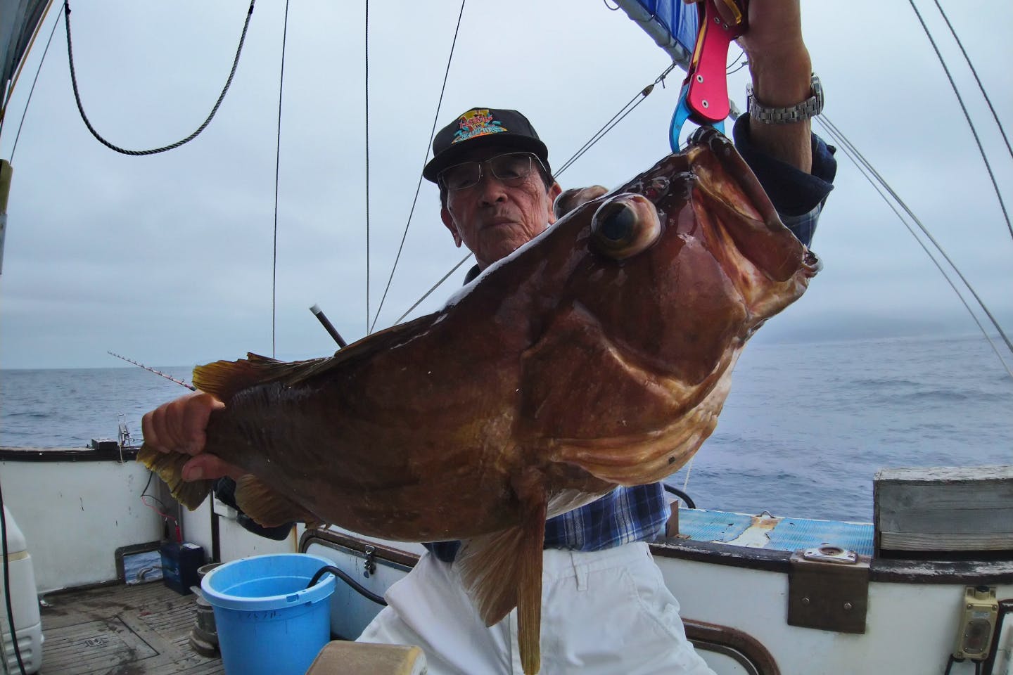 和歌山 すさみ 海釣り 魚の引きを体感して大物をゲット 泳がせ釣り体験 アソビュー 和歌山 すさみ 海釣り 魚の引きを体感して大物をゲット 泳がせ釣り体験 アソビュー