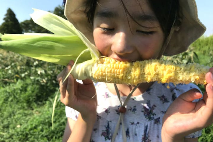 農業公園ぽんぽこ村