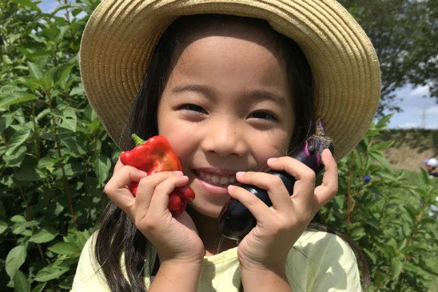【千葉・木更津・収穫体験】小学生以下無料・有機無農薬栽培のお野菜や果実を贅沢に収穫！特選コース