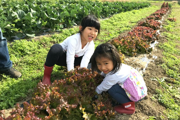 農業公園ぽんぽこ村 ネット予約ならアソビュー